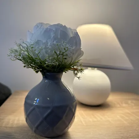 Heritage Harmony With Free Parking 公寓 *